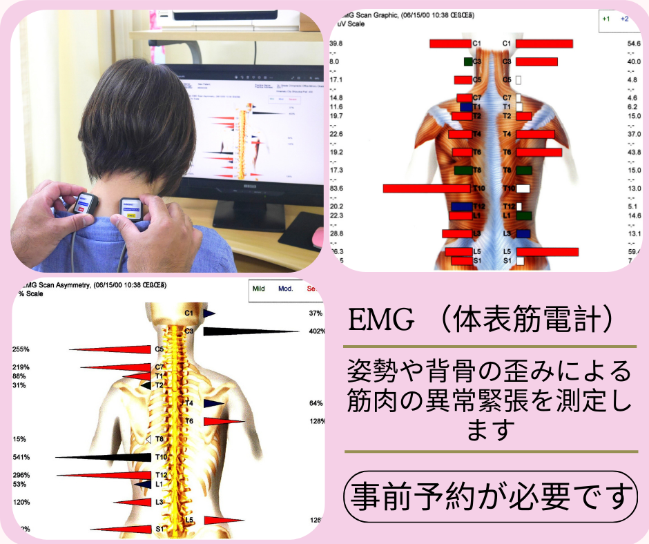EMG 体表筋電計